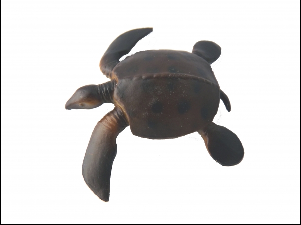 Sea turtle Archelon replica