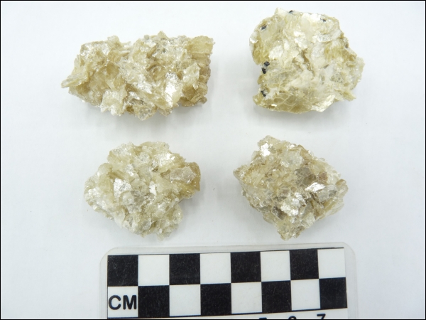 Muscovite rough middle