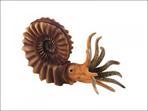 Ammonite Pleuroceras XL replica