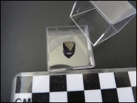 Magnetiet kristal micromount