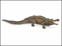Model Sarcosuchus crocodile large