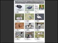 Vijvervogels deel 1 Florian's Fotozoekkaart geplastificeerd A4